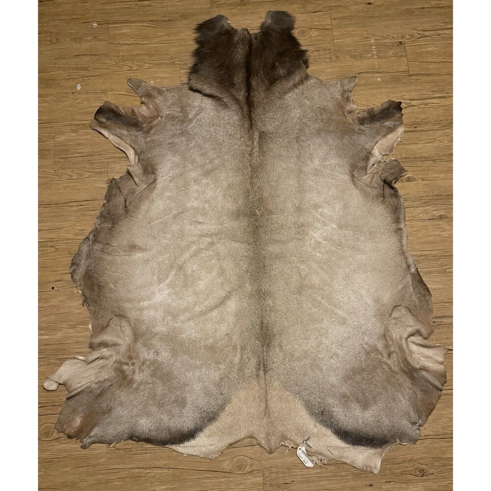 Authentic Whole Elk Hide Hair On Fur Pelt Leather Hide